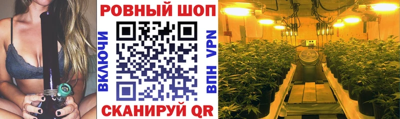 Где купить наркотики Городище Галлюциногенные грибы  АМФ  Кодеин  ГАШИШ  Мефедрон  Каннабис  Альфа ПВП 