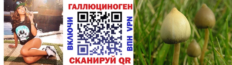 kraken маркетплейс  наркота  Городище  Галлюциногенные грибы ЛСД 